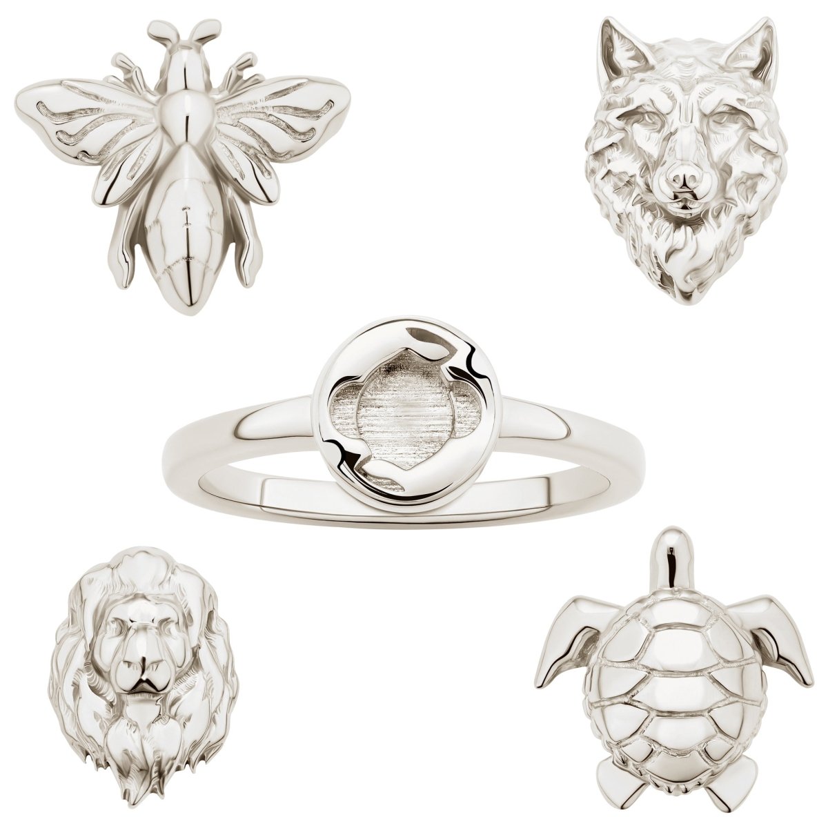 Animal Collection - ICONS