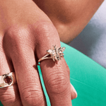 Animal Collection - ICONS