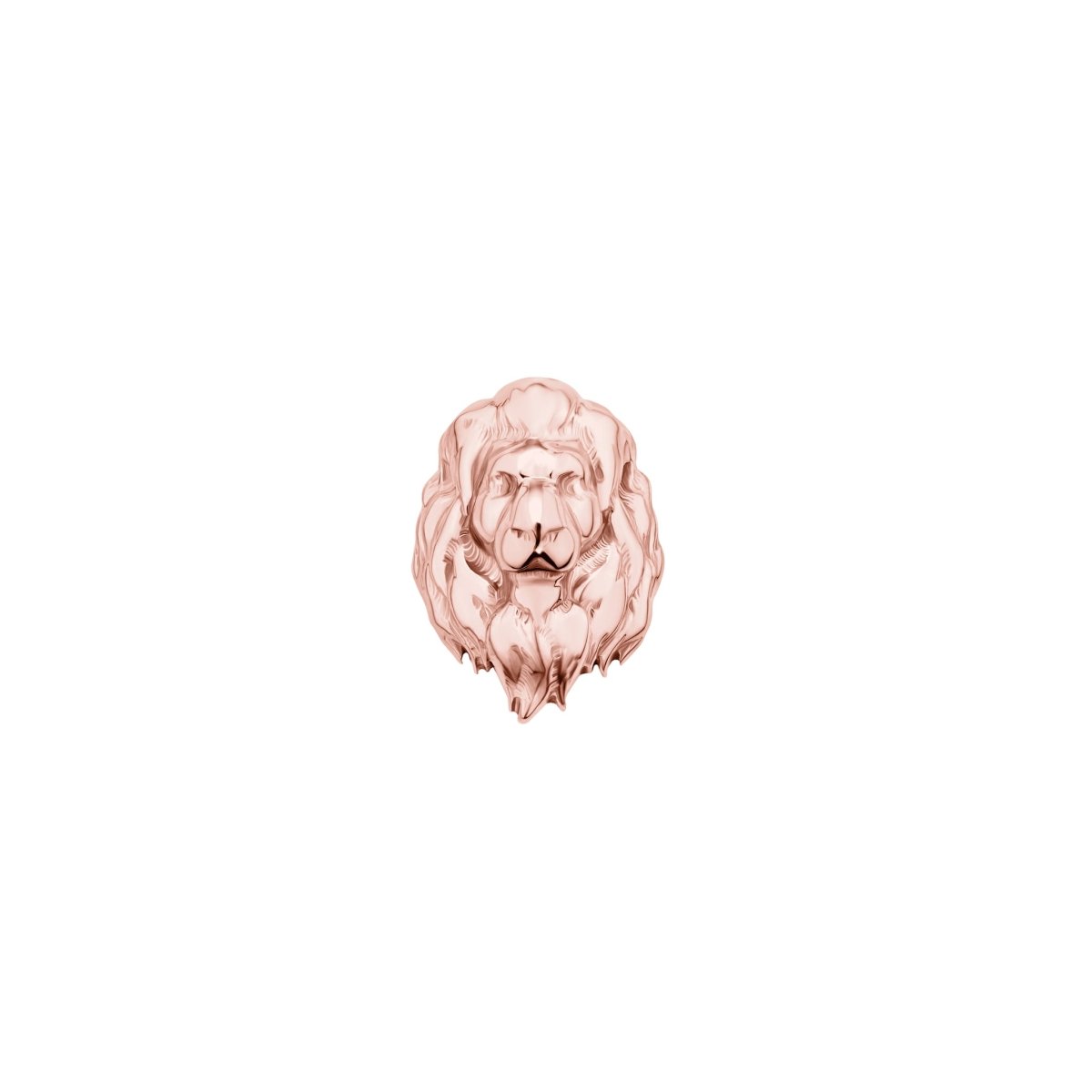 Lion - ICONS