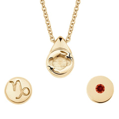 Zodiac Pendant Bundle - ICONS