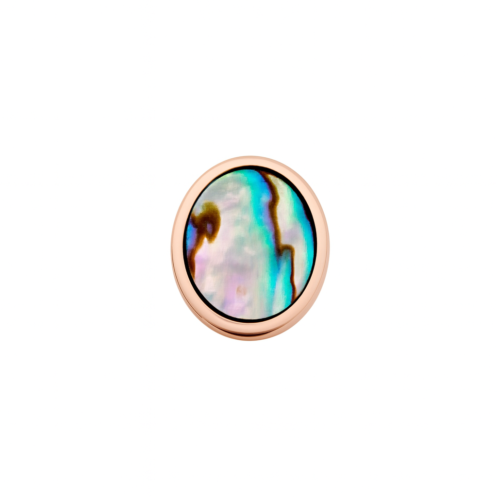 Pāua Shell