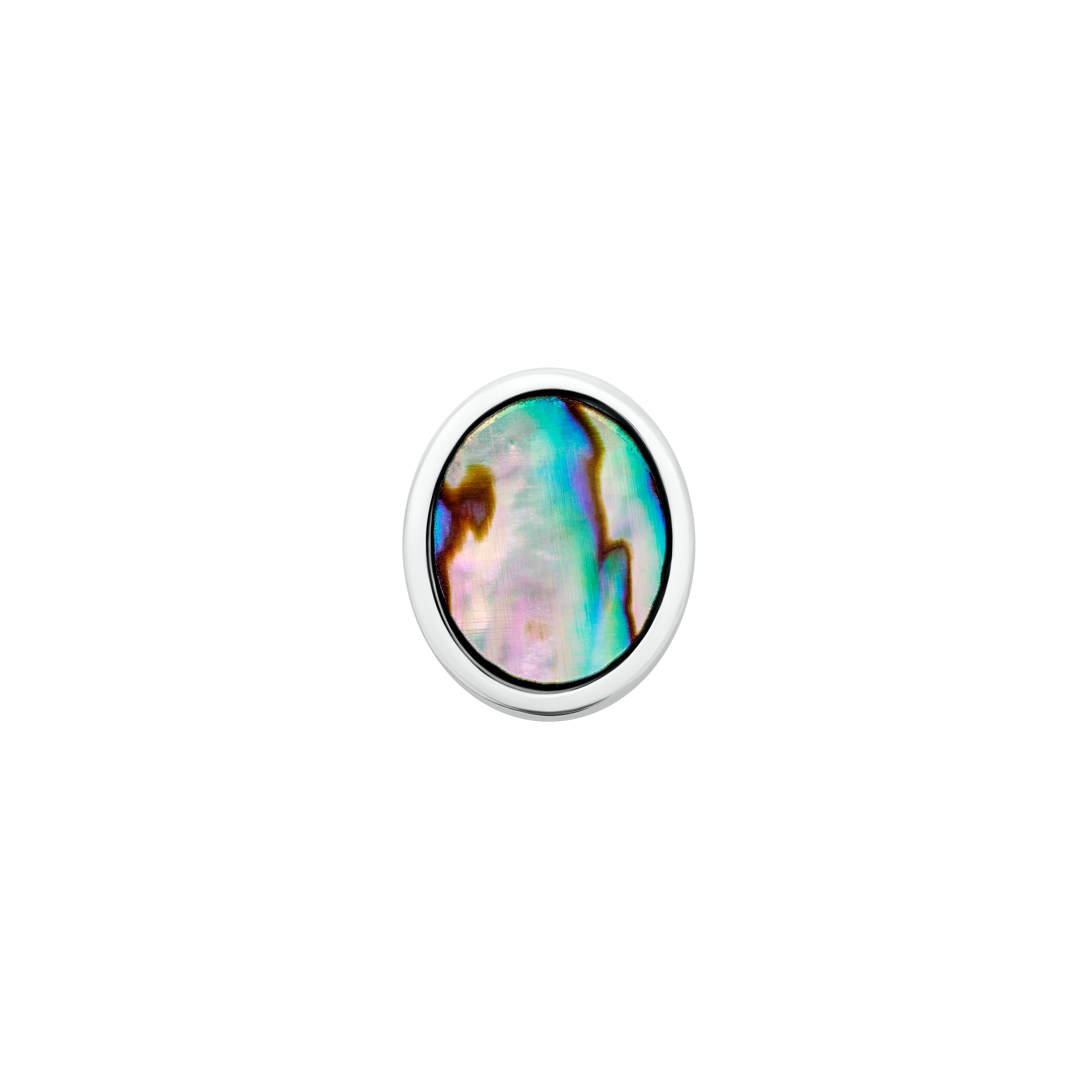 Pāua Shell