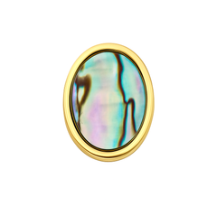 Pāua Shell
