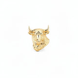 Bull