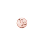 Star Sign - ICONS