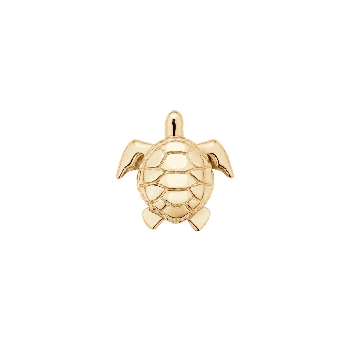 Turtle - ICONS