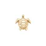 Turtle - ICONS
