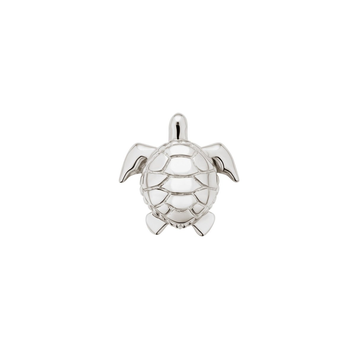 Turtle - ICONS
