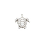 Turtle - ICONS