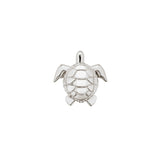 Turtle - ICONS